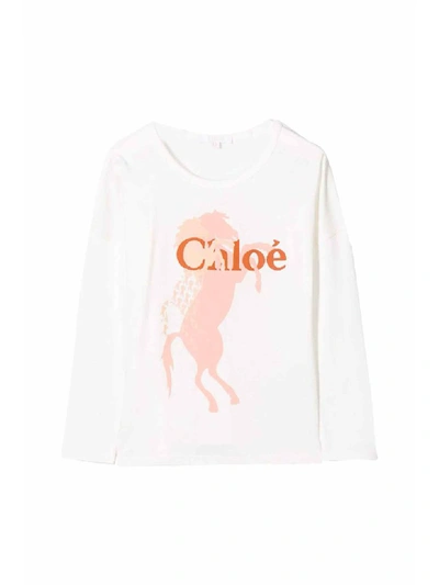 Shop Chloé Printed Shirt In Marrone