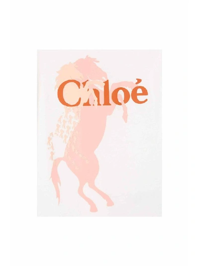 Shop Chloé Printed Shirt In Marrone