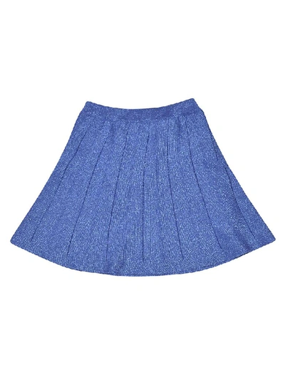 Shop Alberta Ferretti Pleated Skirt In Blue