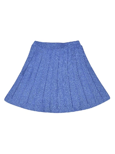 Shop Alberta Ferretti Pleated Skirt In Blue