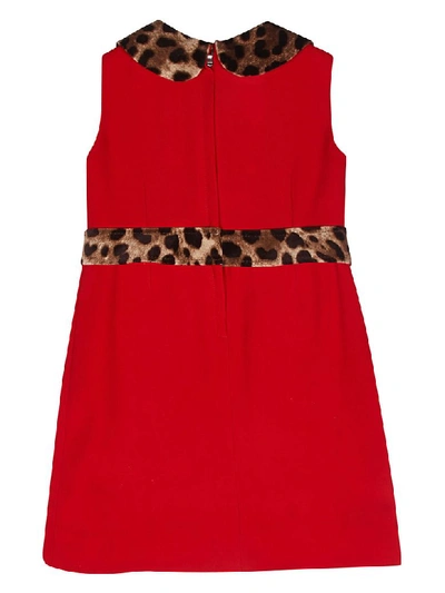 Shop Dolce & Gabbana Sleeveless Dress In Red