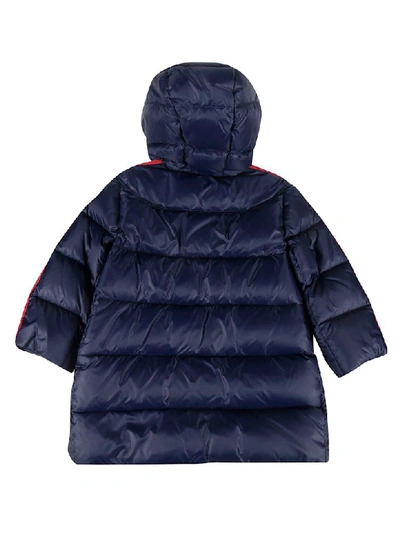 Shop Gucci Hooded Padded Jacket In Blue