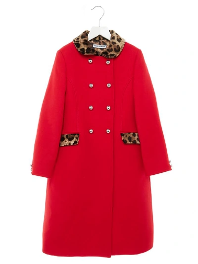 Shop Dolce & Gabbana Coat In Red