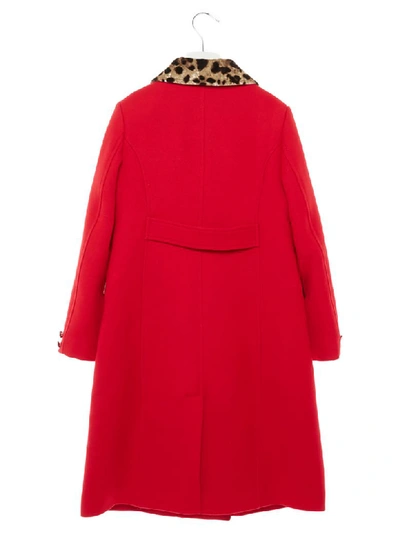 Shop Dolce & Gabbana Coat In Red