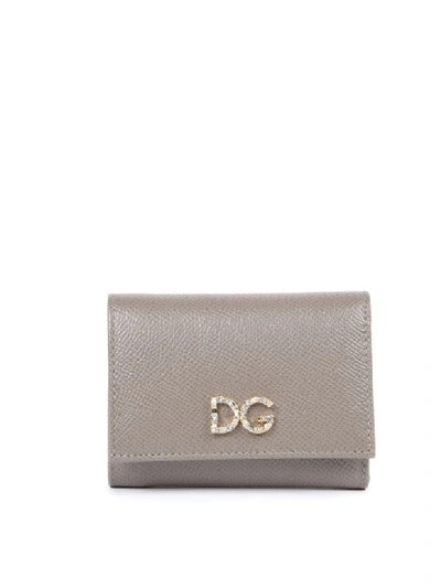 Shop Dolce & Gabbana Mud Leather Wallet With Logo Plaque In Neutro