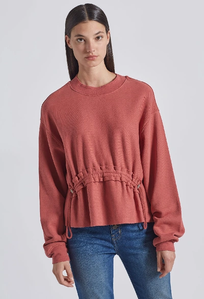 Shop Current Elliott The Bloom Sweatshirt In Cinnamon