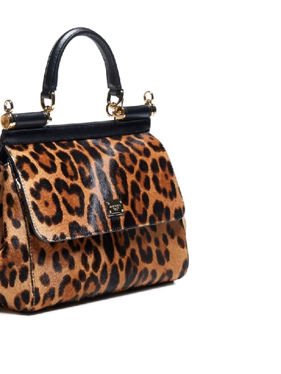 Shop Dolce & Gabbana Sicily Leopard Print Ponyskin And Leather Bag In Leo+leo