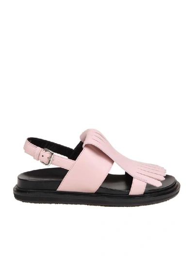 Shop Marni Fussbett Sandal In Pink Calf Leather In Tan