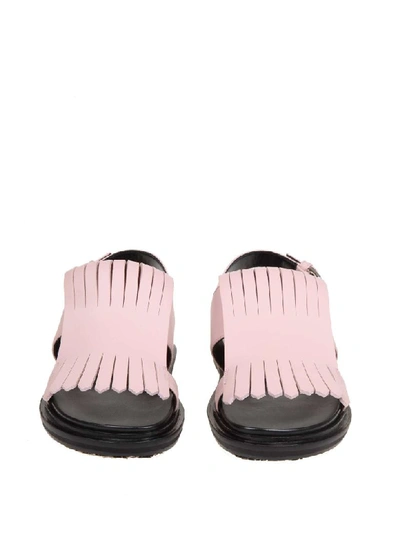 Shop Marni Fussbett Sandal In Pink Calf Leather In Tan