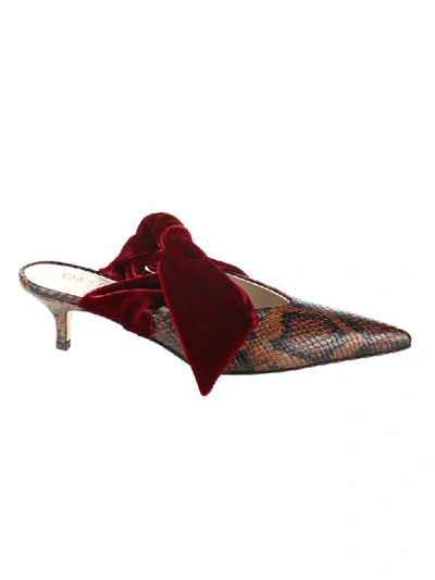 Shop Gia Couture Calf Mules With Hell In Brown Pyton