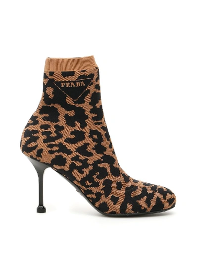 Shop Prada Animalier Sock Booties In Cammello (brown)