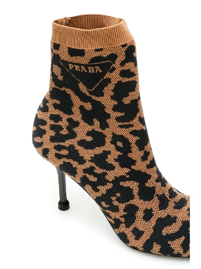 Shop Prada Animalier Sock Booties In Cammello (brown)