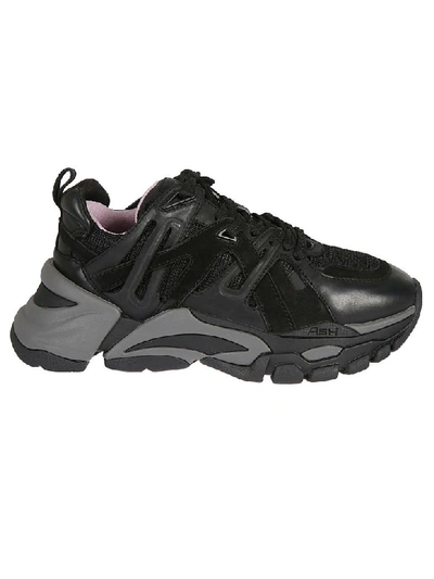 Shop Ash Fl Sneakers In Black/