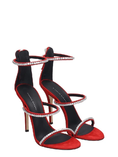 Shop Giuseppe Zanotti Sandals In Red Suede