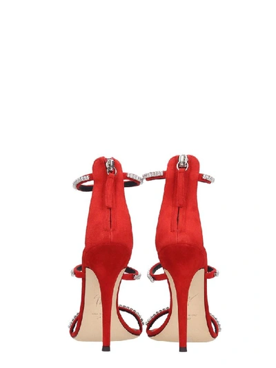 Shop Giuseppe Zanotti Sandals In Red Suede