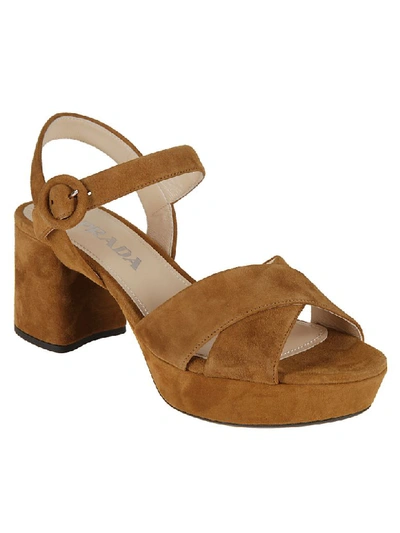 Shop Prada Block-heel Sandals In Cannella