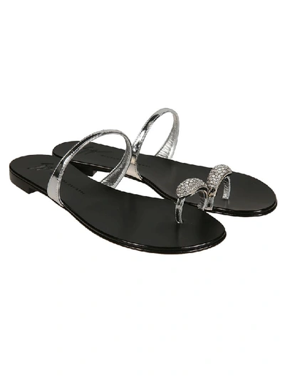 Shop Giuseppe Zanotti Ring Sandals In Argento
