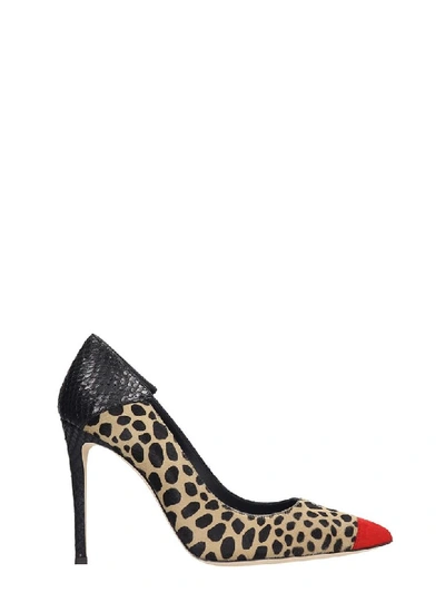 Shop Giuseppe Zanotti Adeline Feline Pumps In Animalier Pony Skin