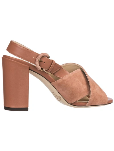 Shop Tod's Gommino Sandals In Rosa