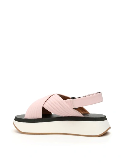 Shop Marni Platform Sandals In Light Rose (pink)