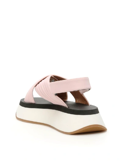 Shop Marni Platform Sandals In Light Rose (pink)