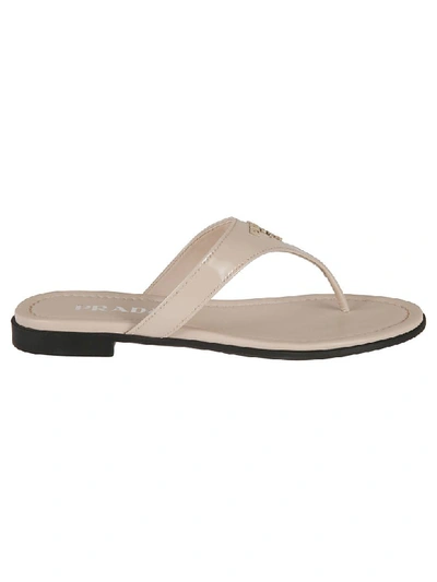 Shop Prada Classic Flat Sandals In Cipria