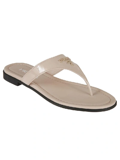 Shop Prada Classic Flat Sandals In Cipria