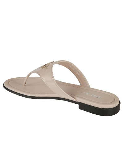 Shop Prada Classic Flat Sandals In Cipria