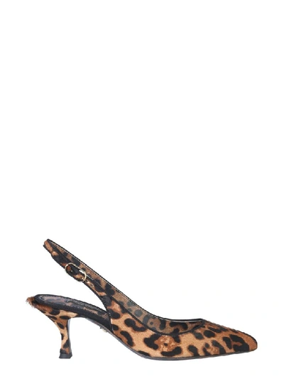 Shop Dolce & Gabbana Back Sling Sandal In Animalier