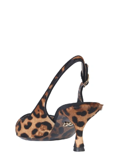 Shop Dolce & Gabbana Back Sling Sandal In Animalier