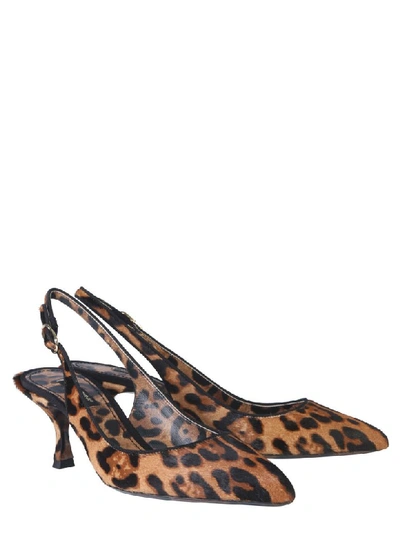 Shop Dolce & Gabbana Back Sling Sandal In Animalier