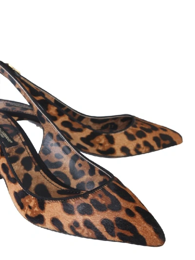 Shop Dolce & Gabbana Back Sling Sandal In Animalier