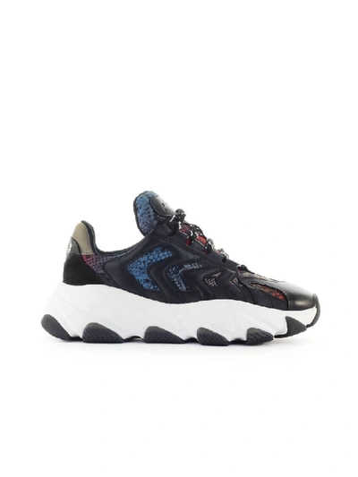 Shop Ash Extreme Multicolor Sneaker In Multicolor (black)