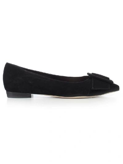 Shop Sergio Rossi Ballerinas W/buckle In Nero