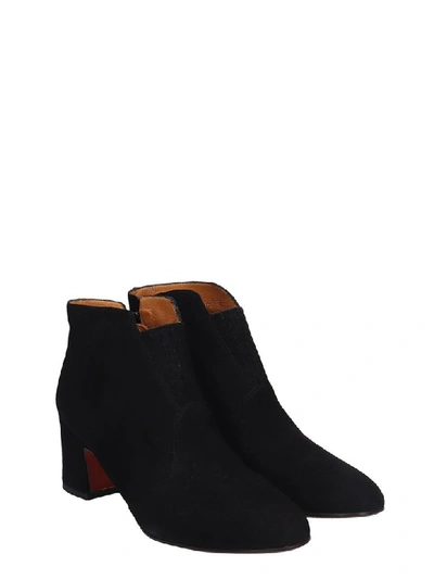 Shop Chie Mihara Naya High Heels Ankle Boots In Black Suede