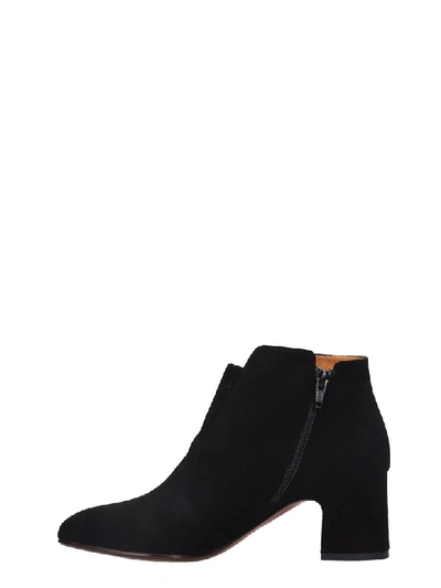 Shop Chie Mihara Naya High Heels Ankle Boots In Black Suede