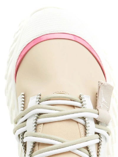 Shop Giuseppe Zanotti Urchin Shoes In Pink