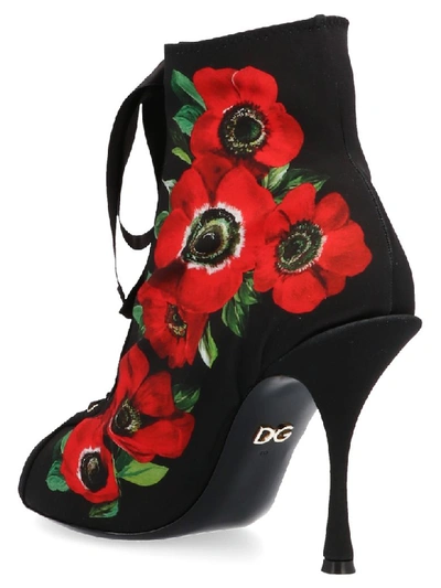 Shop Dolce & Gabbana Shoes In Multicolor