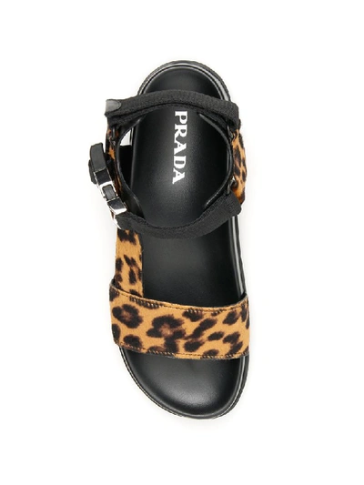 Shop Prada Leopard Print Pony And Nylon Sandals In Miele Moro (brown)