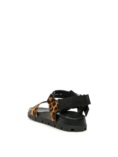 Shop Prada Leopard Print Pony And Nylon Sandals In Miele Moro (brown)