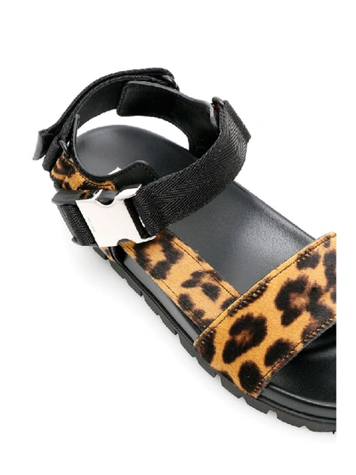 Shop Prada Leopard Print Pony And Nylon Sandals In Miele Moro (brown)