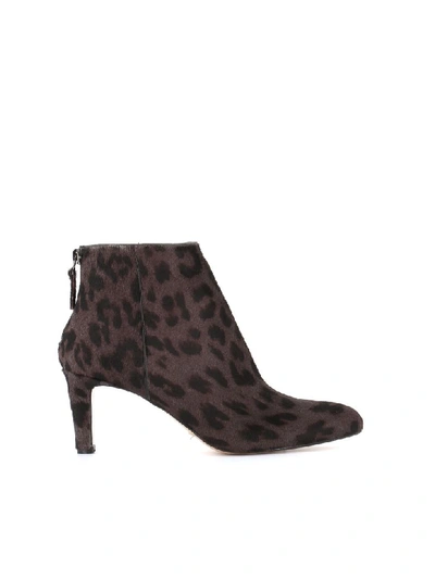 Shop Antonio Barbato Ankle Boots In Leopard
