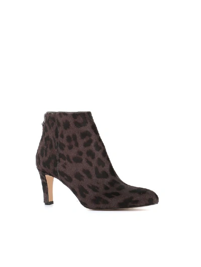 Shop Antonio Barbato Ankle Boots In Leopard