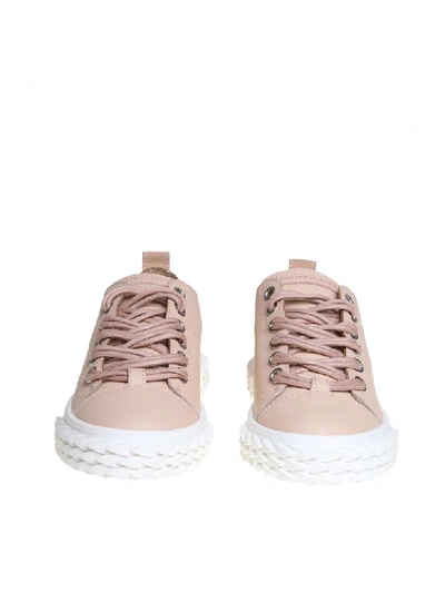 Shop Giuseppe Zanotti Sneakers Blabber In Pink Leather