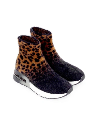 Shop Ash Black Leopard King Sneaker Sock-style In Nero (black)