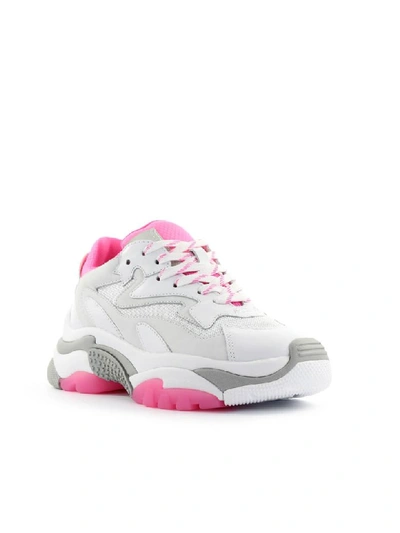 Shop Ash Addict White Fuchsia Sneaker In Bianco/rosa (white)