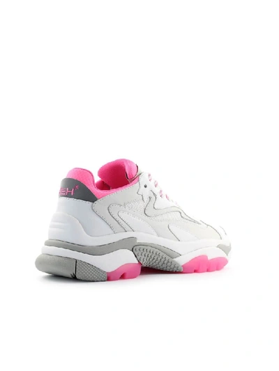 Shop Ash Addict White Fuchsia Sneaker In Bianco/rosa (white)