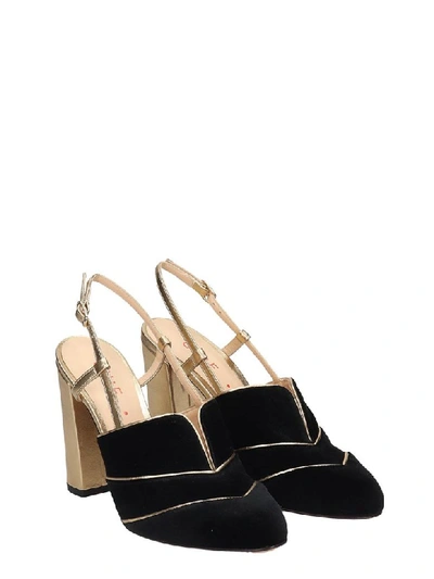 Shop Chie Mihara Do-darlin Sandals In Black Velvet