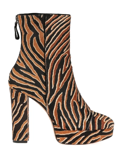 Shop Alexandre Birman Rachel Pony In Tiger/black