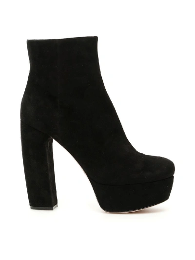 Miu Miu Suede Block-heel Platform Booties In Nero (black)